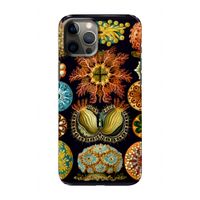 Haeckel Ascidiae: Volledig geprint iPhone 12 Hoesje