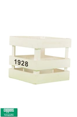 Rek 6 fles Estero S wit