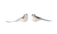 Orn.foam vogel l8b11h5cm a3 2st - Ksd Orn.foam vogel l8b11h5cm a3 2st - Ksd