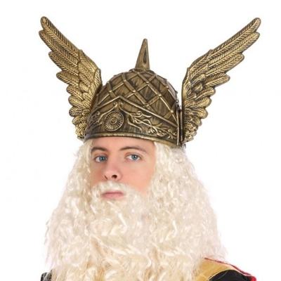 Viking/Noorman carnaval verkleed helm - voor heren - krijgers - goud - kunststof
