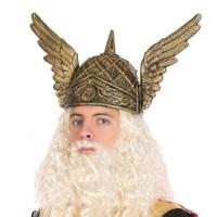 Viking/Noorman carnaval verkleed helm - voor heren - krijgers - goud - kunststof
