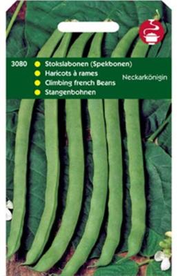 Zaden Stokspekbonen Neckarkonigin type Phenomeen 100g Tuinplus - Tuinplus