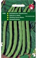 Zaden Stokspekbonen Neckarkonigin type Phenomeen 100g Tuinplus - Tuinplus