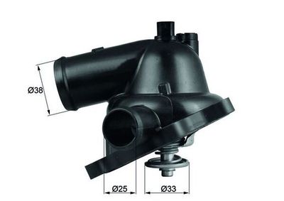 Thermostaat, koelvloeistof TM2395