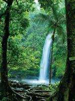 Doorkijk waterval 50x70cm Tuinschilderij - Customize it