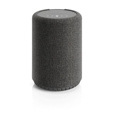 Audio ProA10 MkII Smart Multiroom Wifi speaker Grijs