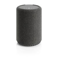 Audio ProA10 MkII Smart Multiroom Wifi speaker Grijs
