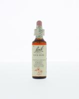 Rock rose/zonneroosje 20 Milliliter