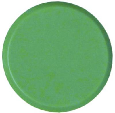 Bouhon magneten, 20 mm, groen, pak van 10 stuks