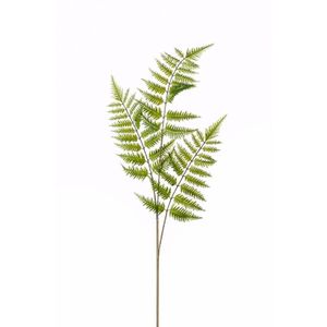 Tree fern kunstplant tak 85 cm   -