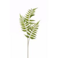 Tree fern kunstplant tak 85 cm   -