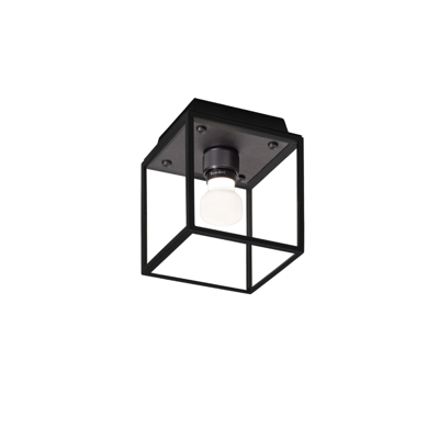 Buster and Punch - Caged Wet / Plafond / Klein