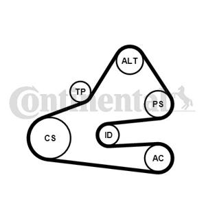 Poly V-riem set CONTINENTAL CTAM, u.a. für VW, Audi