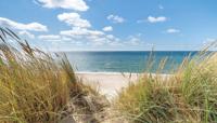 Strand duinen 130x70cm Tuinschilderij - Customize it