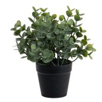 Eucalyptus Kunstplant - in pot - groen - H20 cm   -