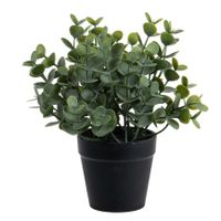 Eucalyptus Kunstplant - in pot - groen - H20 cm - thumbnail