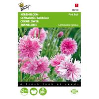 5 stuks Centaurea cyanus Pink Ball Tuinplus - thumbnail