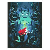 Ravensburger Creart schilderen op nummer - ariel en ursula