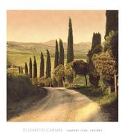 Kunstdruk Elisabeth Carmel - Country Lane, Tuscany 45x50cm