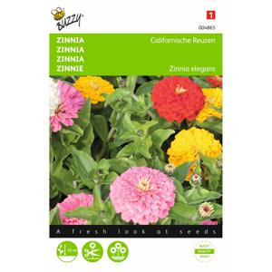 2 stuks Zinnia elegans Californische Reuzen Gemengd