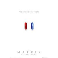 Poster The Matrix Resurrections The Choice is Yours 61x91,5cm