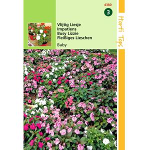 2 stuks - Hortitops - Impatiens Walleriana Baby Gemengd