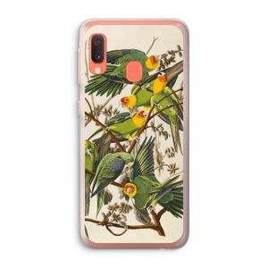 Carolinaparkiet: Samsung Galaxy A20e Transparant Hoesje