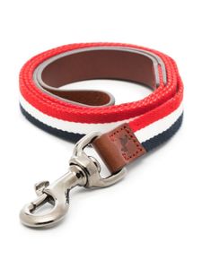 Moncler x Poldo Dog Couture collier pour chien à modèle tricolore - Bleu