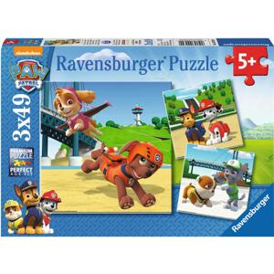 Ravensburger Team op 4 poten