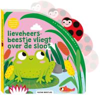 Lieveheersbeestje vliegt over de sloot (Hardback)