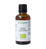 Angelica officinalis/engelwortel tinctuur bio Angelica officinalis/engelwortel tinctuur bio