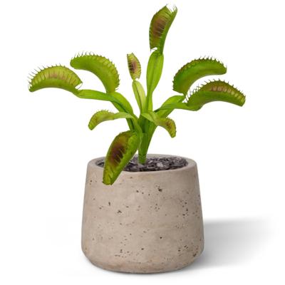 Kunst Venusplant Boeket 20 cm