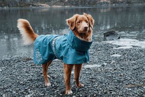 Hurtta MONSOON Blauw Stof/Weefsel Hond Regenjas