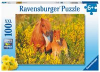 Ravensburger puzzel 100 stukjes shetlandpony&apos;s