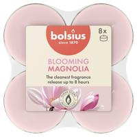 Bolsius maxilicht true scents magnolia 8 stuks