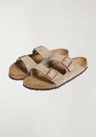 Arizona BS - thumbnail