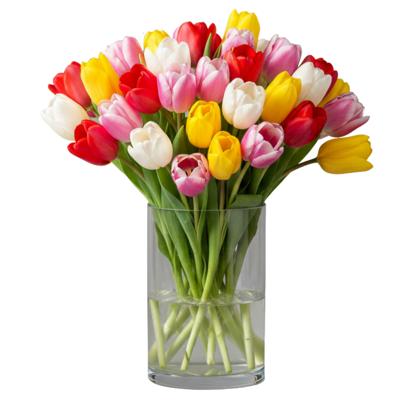 Vaas - transparant - 15 x 12 cm - glas - cilinder vorm - vazen - bloemenvaas