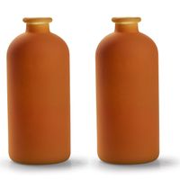 Jodeco - bloemenvaas Avignon - 2x - Fles model - glas - mat oranje - H25 x D11 cm