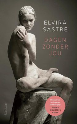 Dagen zonder jou - Elvira Sastre - ebook