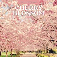 Cherry Blossom Kalender 2026