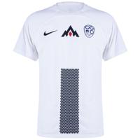 Slovenië Dri-Fit ADV Match Shirt Thuis 2024-2025