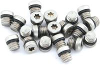 Avid Bleeding screw x0 20pcs.