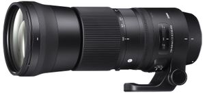 Sigma 150-600mm F/5-6.3 DG OS HSM Contemporary Nikon FX + TC-1401 (1.4x) Teleconverter