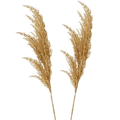 Pampasgras pluim losse steel/tak - 2x - naturel beige - 100 cm - Decoratie kunst graspluimen