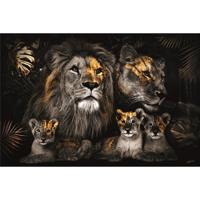 Glasschilderij - Leeuwen familie - 160 x 110 cm