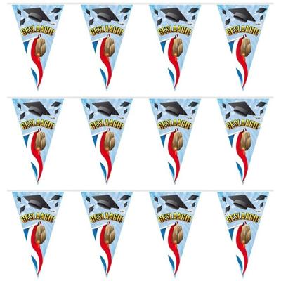 Geslaagd/afgestudeerd vlaggenlijn - 3x - slinger - 10 meter - Feestartikelen en versiering