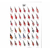 Superfish Koiposter Nr.1 A4 Gelamineerd - Weerbestendige Identificatiegids voor Koi