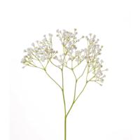 Kunstbloem - gipskruid gypsophila - takken - wit - 58 cm   - - thumbnail