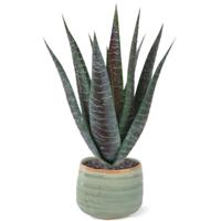 Aloë kunstplant 30cm
