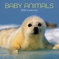 Babydieren Kalender 2026